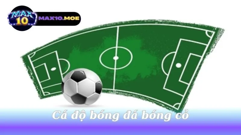 Cá độ bóng đá bóng cỏ - Khám Phá Thế Giới Thú Vị Của Cá Cược 4 ca-do-bong-da-bong-co