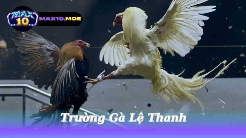 Trường Gà Lệ Thanh - Điểm Đến Hấp Dẫn Cho Tín Đồ Cá Cược 8 truong-ga-le-thanh